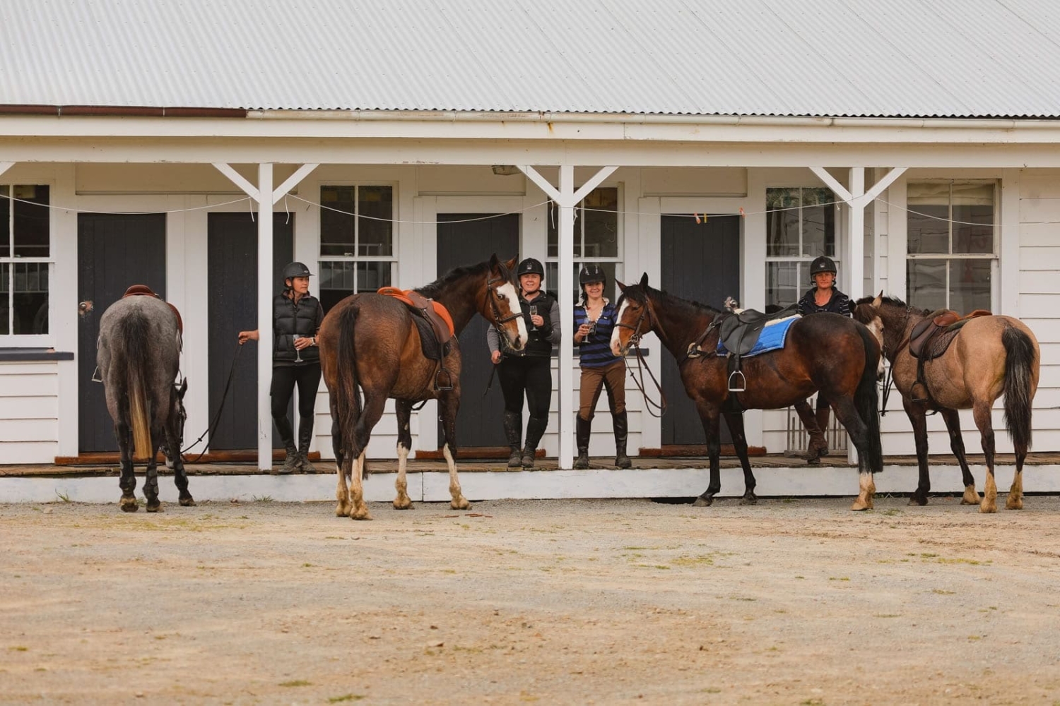 Marainanga Station Homestay Akitio Tararua 15