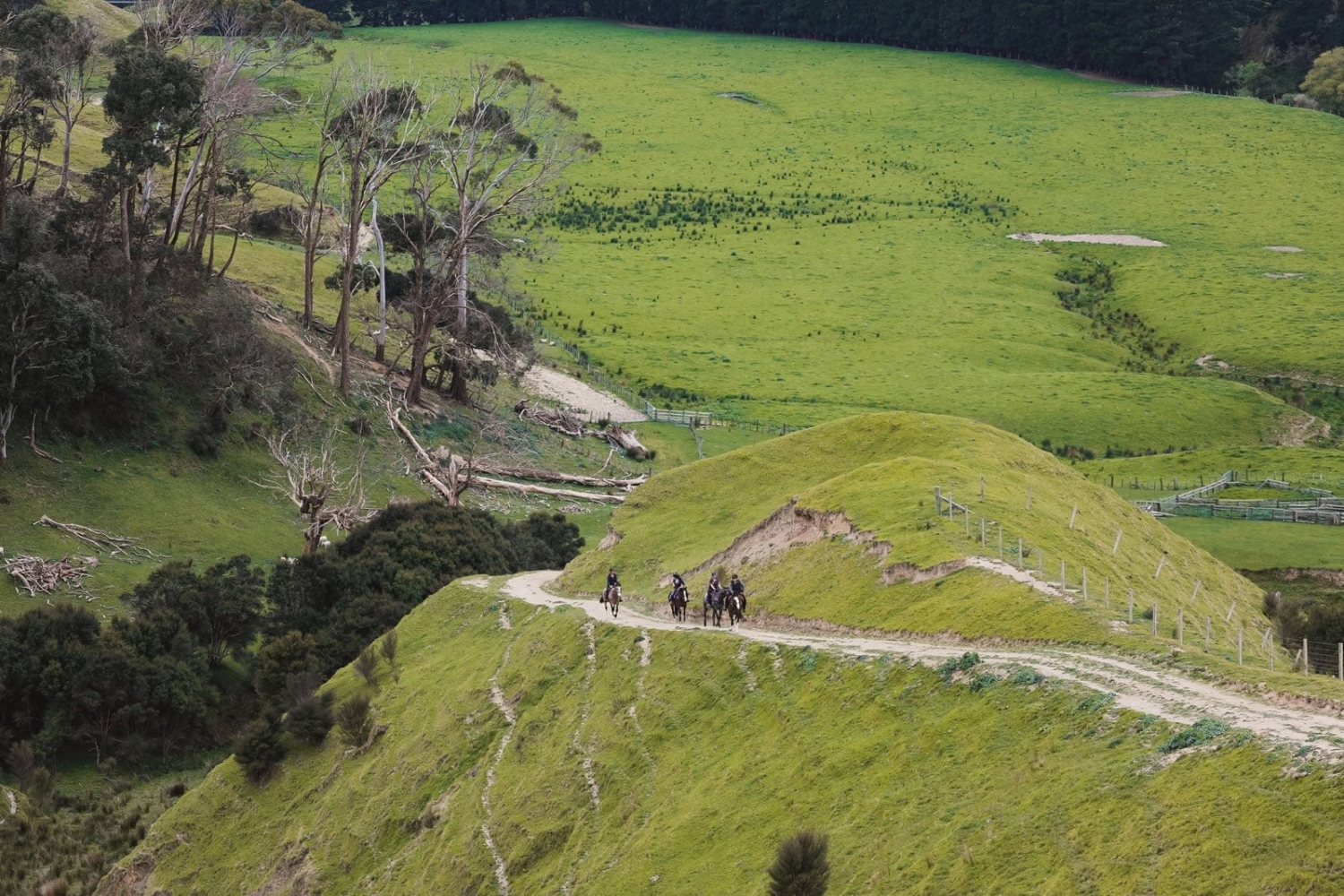 Marainanga Station Homestay Akitio Tararua 172