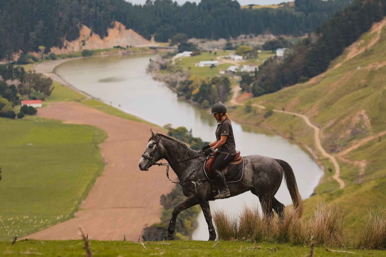 Marainanga Station Homestay Akitio Tararua 376