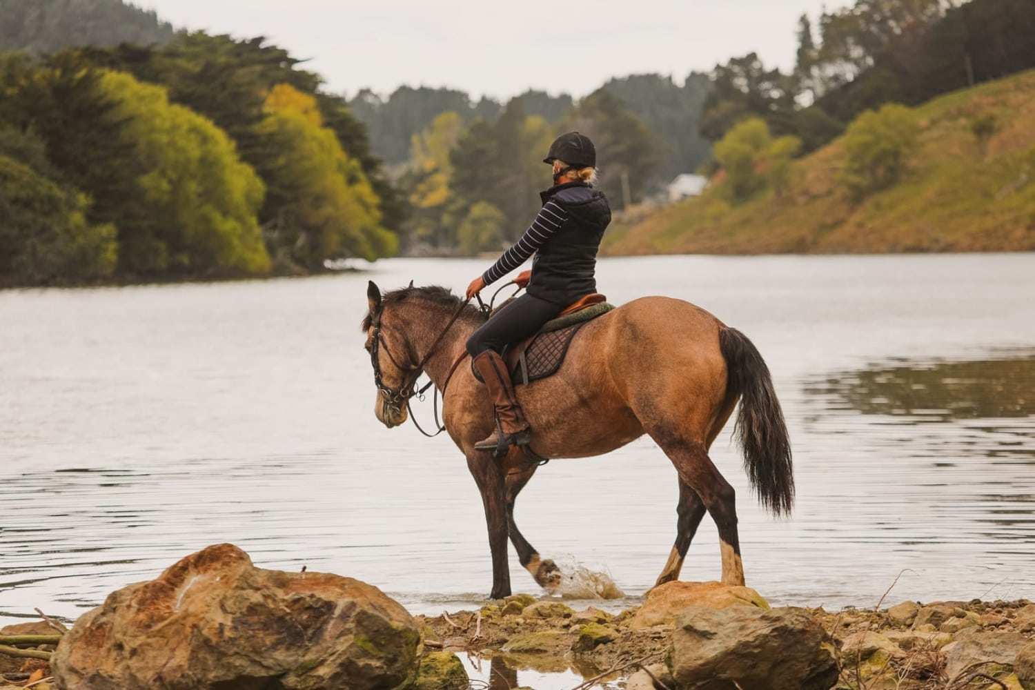 Marainanga Station Homestay Akitio Tararua 39