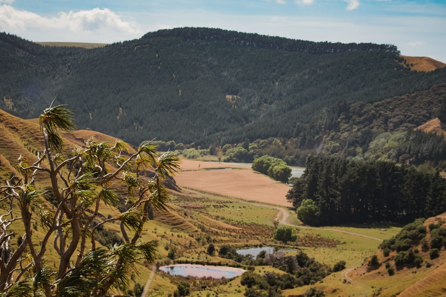 Marainanga Station Homestay Akitio Tararua 6922