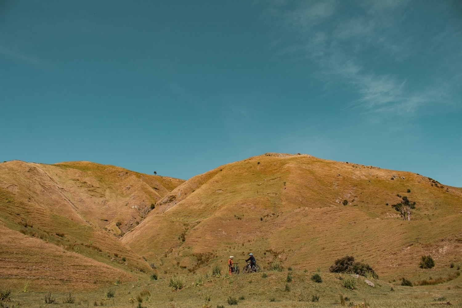 Marainanga Station Homestay Akitio Tararua 6952