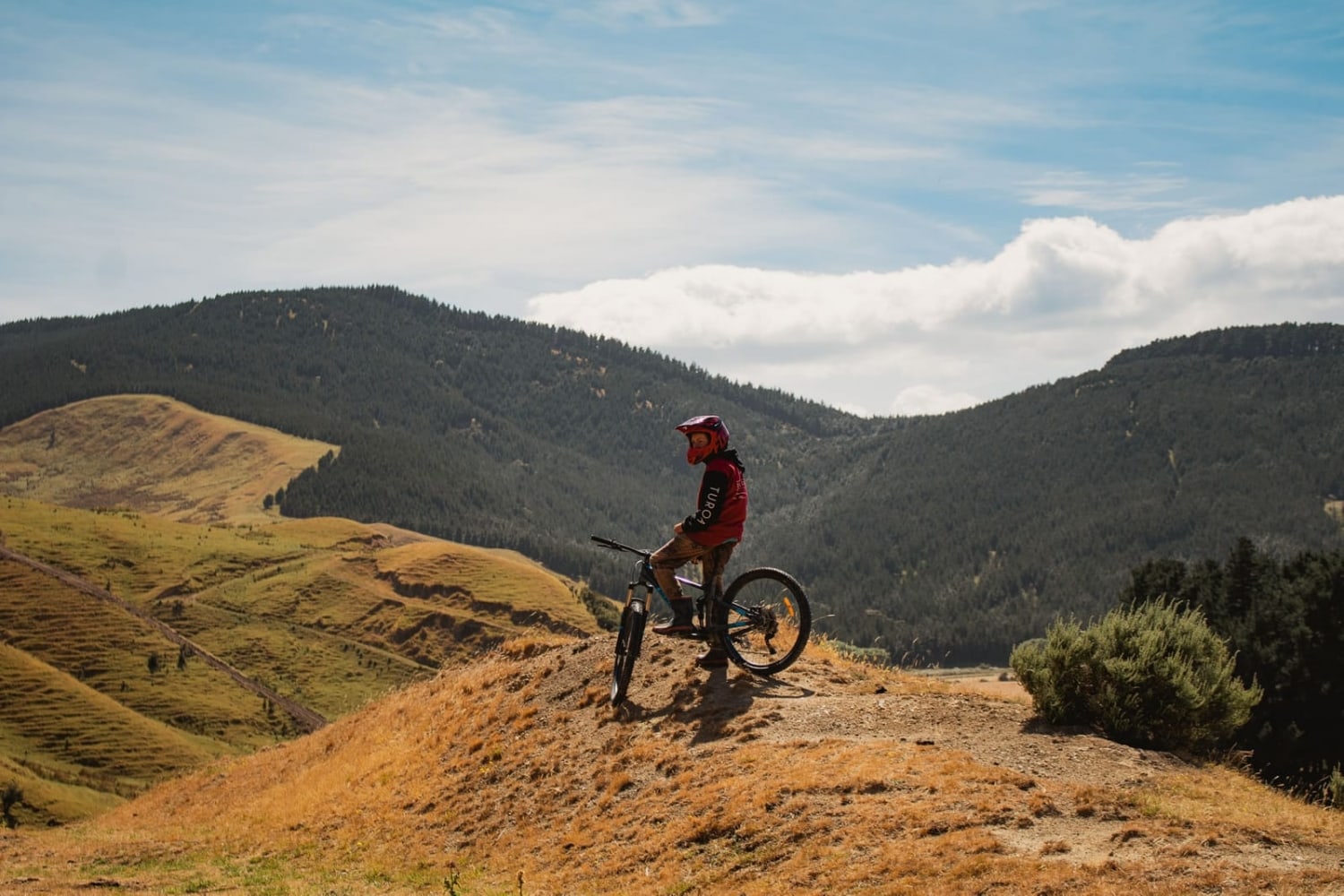 Marainanga Station Homestay Akitio Tararua 6981