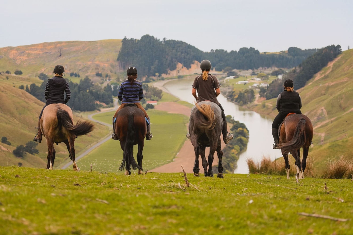 Marainanga Station Homestay Akitio Tararua 7