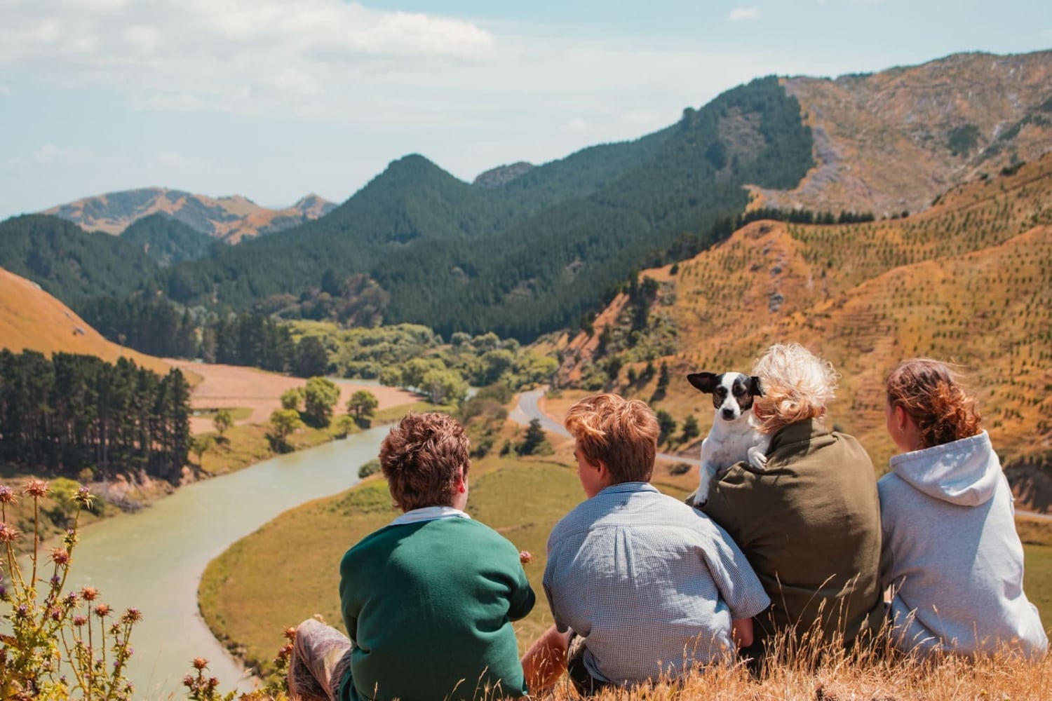 Marainanga Station Homestay Akitio Tararua 7145