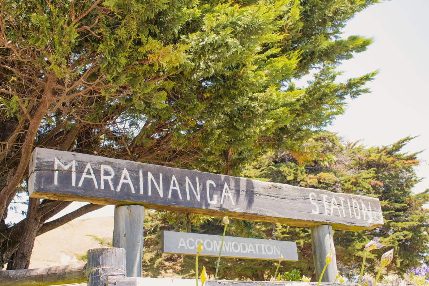 Marainanga Station Homestay Akitio Tararua 7217