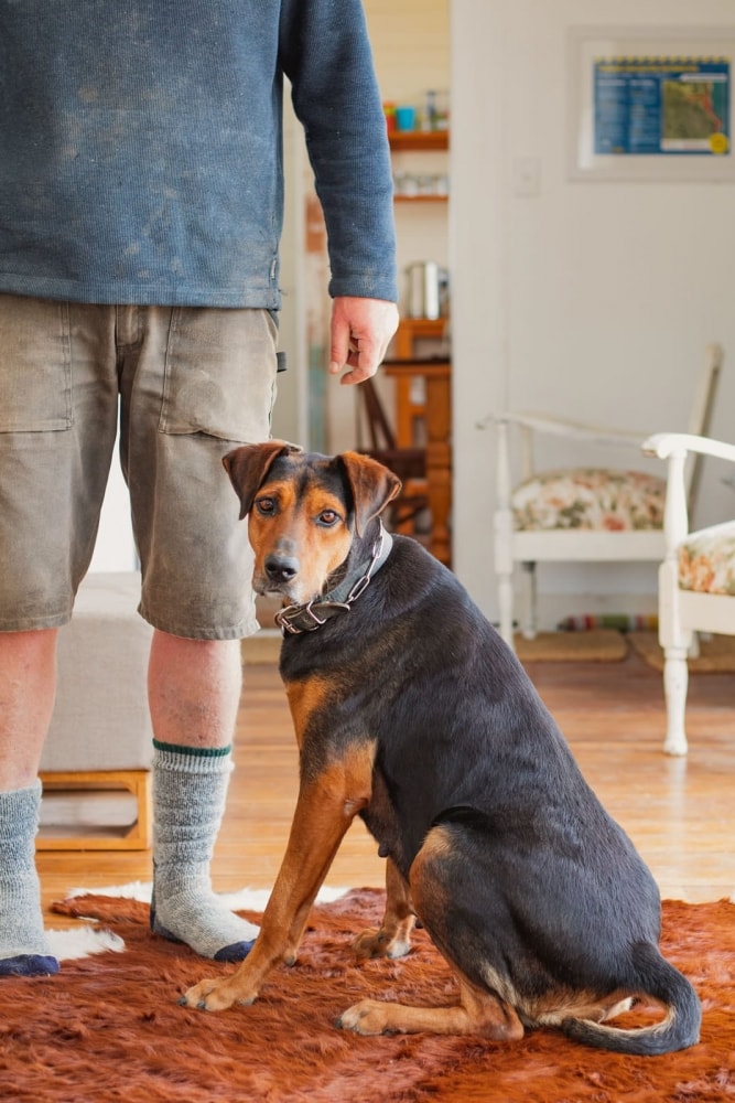 Marainanga Station Homestay Akitio Tararua 7395