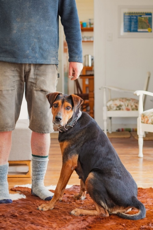 Marainanga Station Homestay Akitio Tararua 7395
