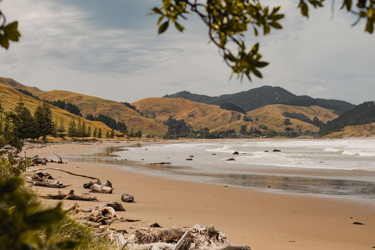 Marainanga Station Homestay Akitio Tararua 7442 2