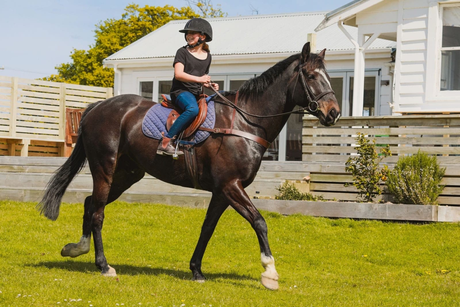 Marainanga Station Homestay Akitio Tararua 78