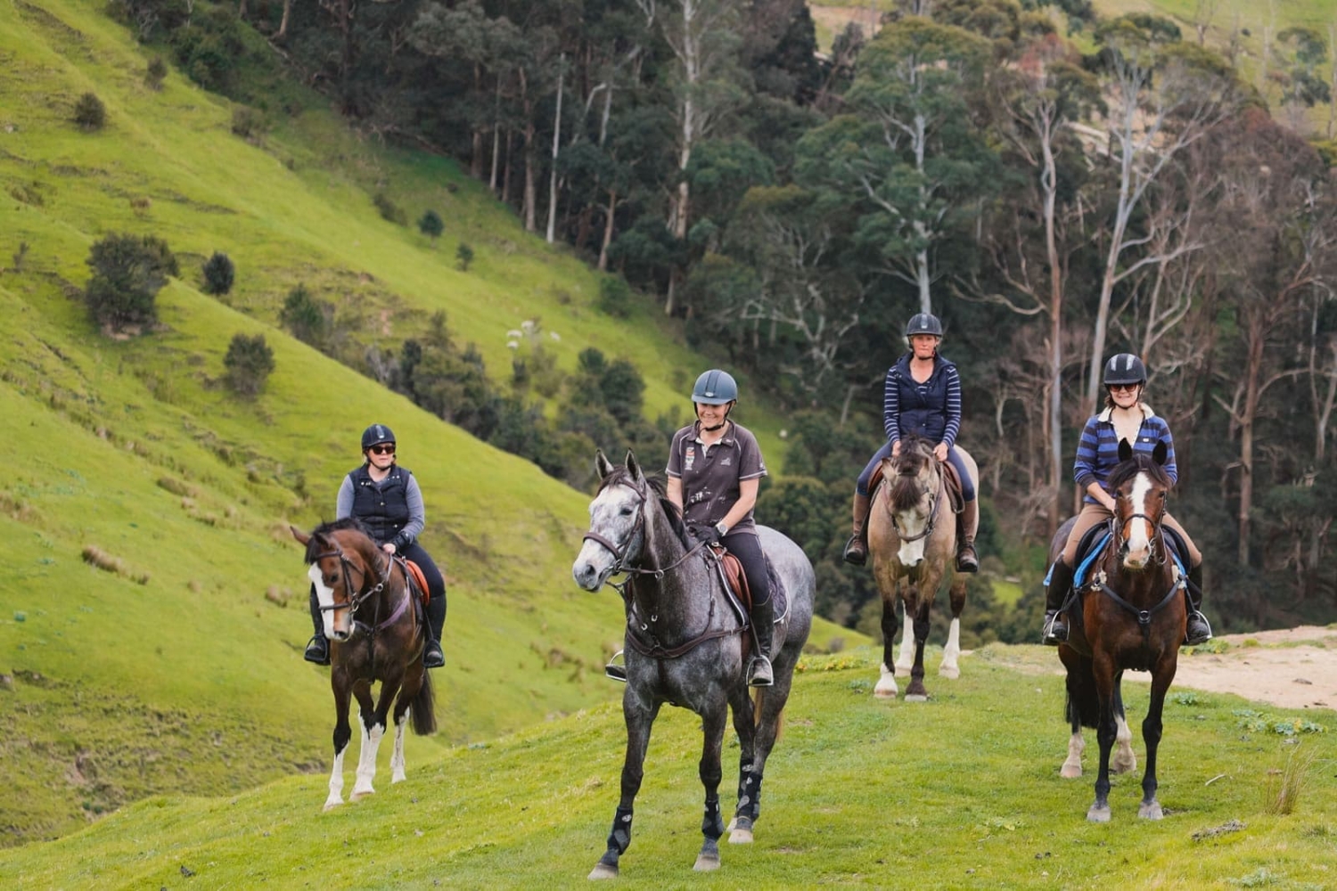 Marainanga Station Homestay Akitio Tararua 83