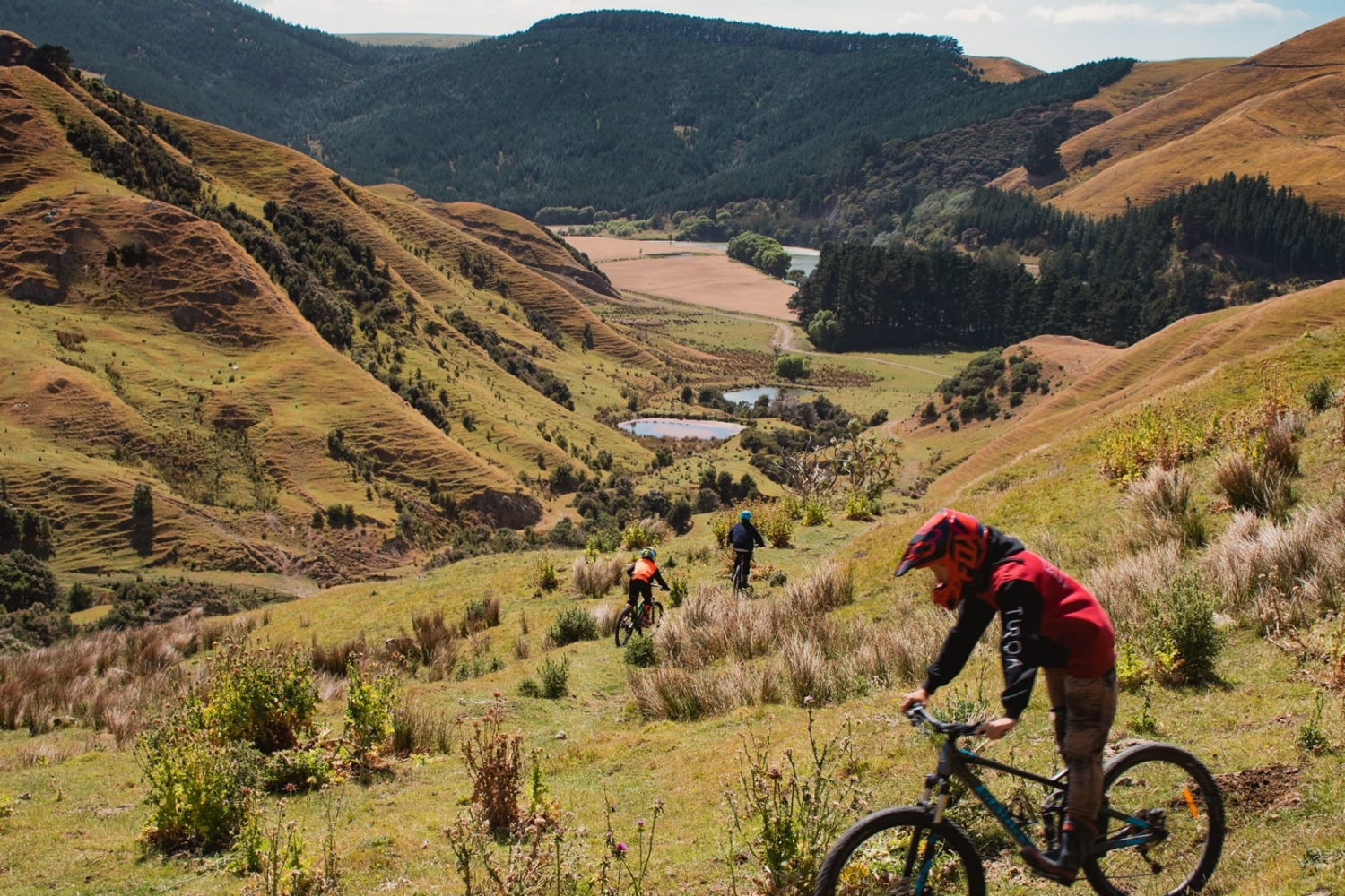 Marainanga Station Accommodation Akitio Tararua 6906