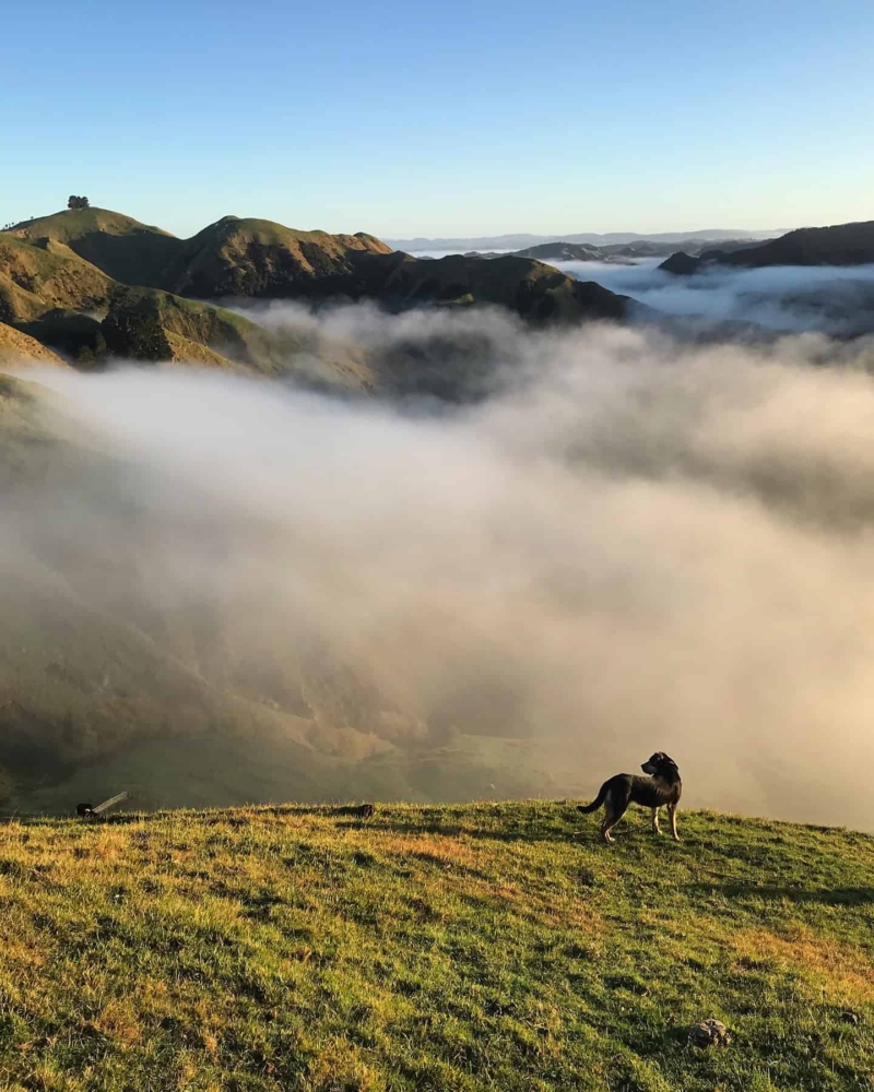 Marainanga Station Accommodation Akitio Tararua 82DA
