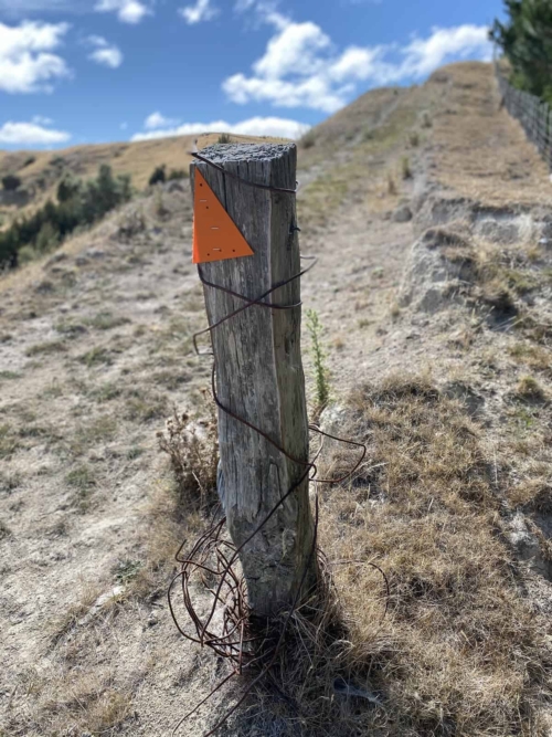 Marainanga Station Experiences Akitio Tararua 0940[1]