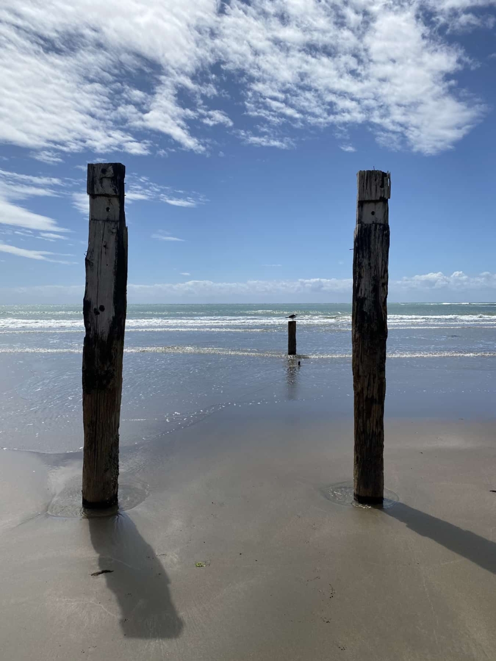 Marainanga Station Homestay Akitio Tararua 0518