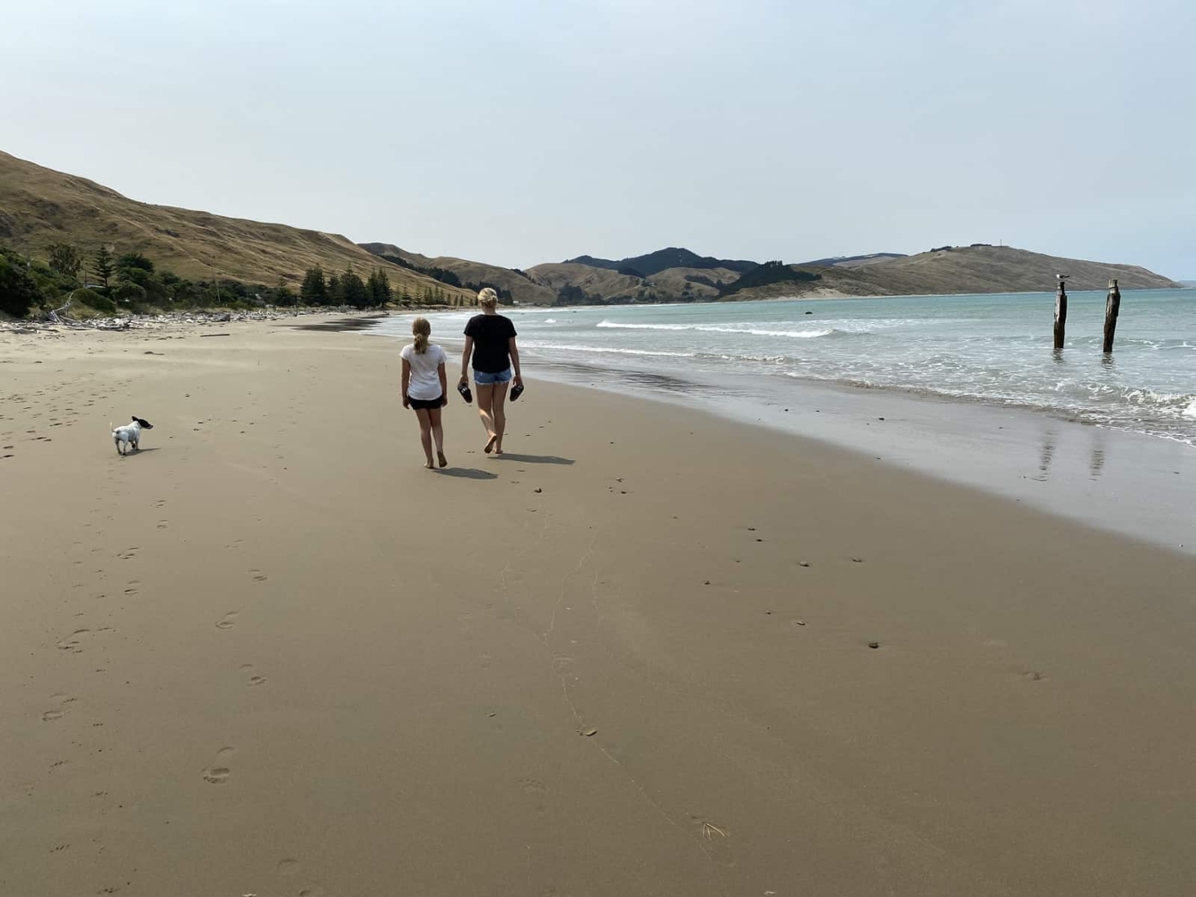 Marainanga Station Homestay Akitio Tararua 0726