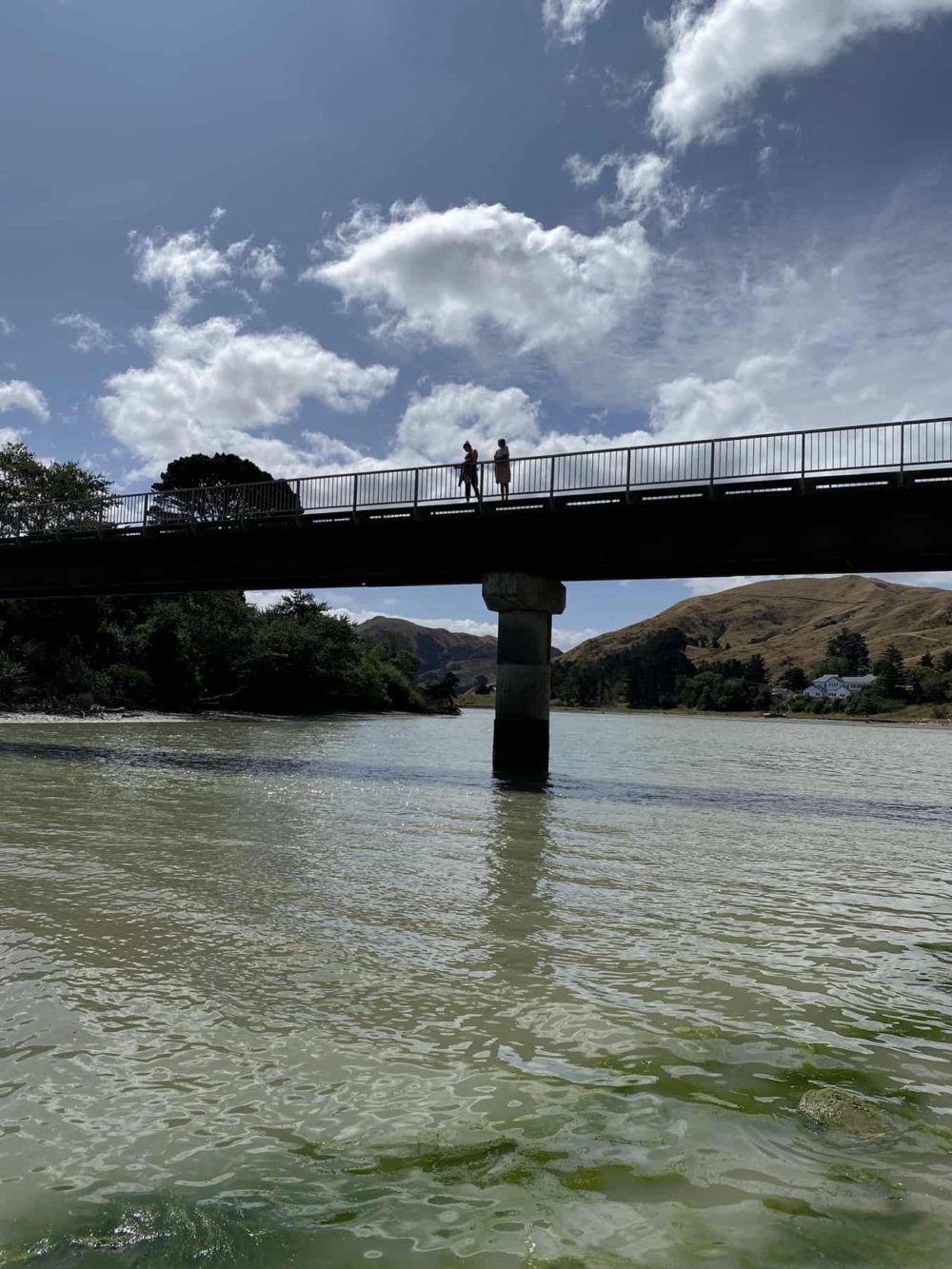 Marainanga Station Homestay Akitio Tararua 0857
