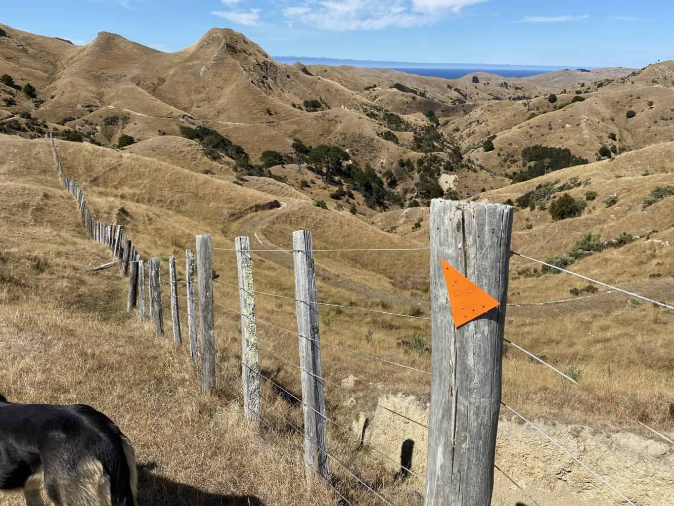 Marainanga Station Homestay Akitio Tararua 0942