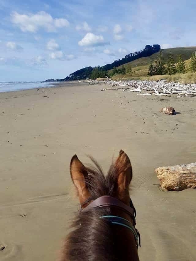 Marainanga Station Homestay Akitio Tararua 2383