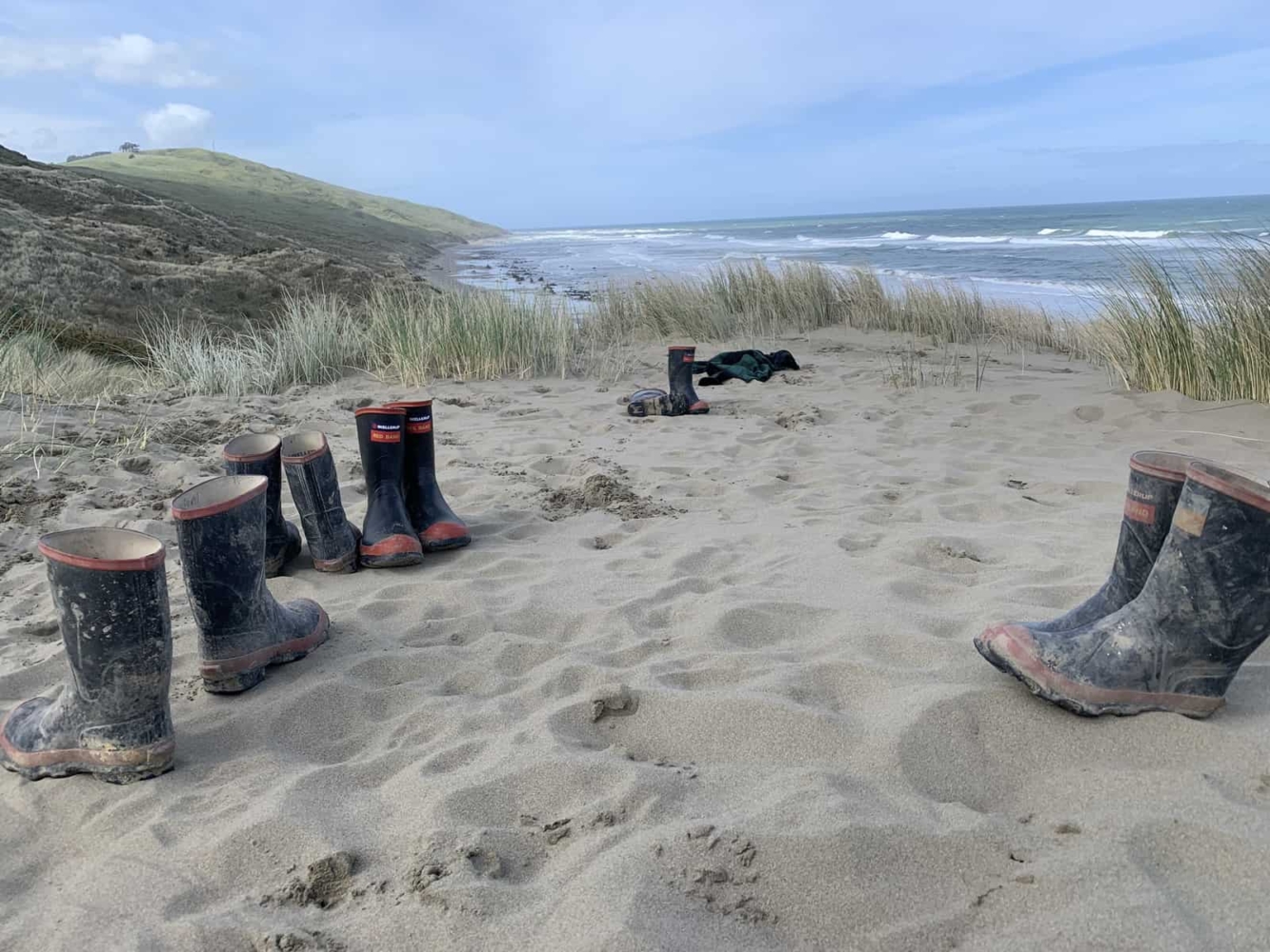 Marainanga Station Homestay Akitio Tararua 5102